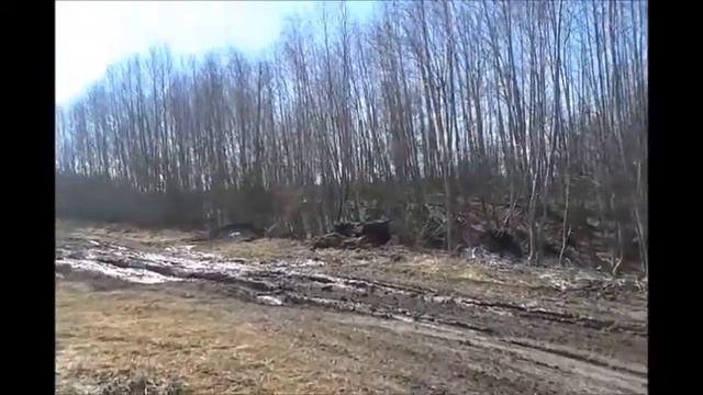 Гряземес на охоте  Чем заняться на охоте когда гусь не летит