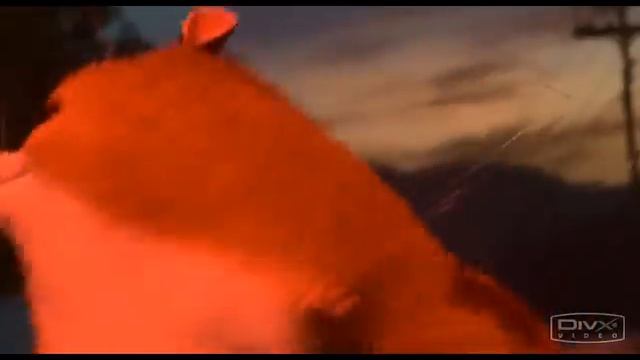 "Destiny?" - Rhino the Hamster (Bolt movie)