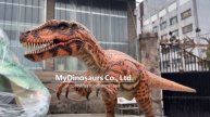 My Dinosaurs | Animatronic Dinosaur Australovenator