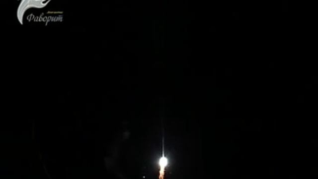 FT4007 Рождество