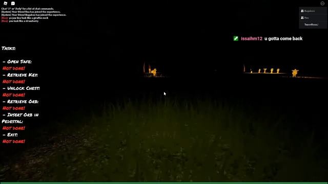 They Keep Roasting Me/Roblox Geisha