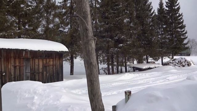 Чётная сплотка тепловозов проезжает ст. Вазюк