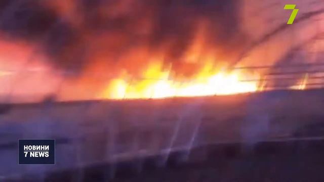 На околиці Одеси знову палає сухостій