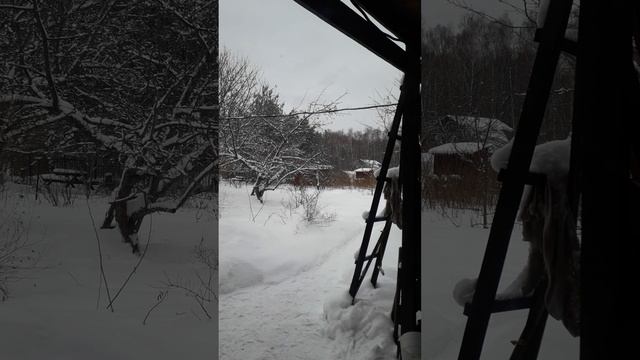 рассказ "Гостевой брак", книга "мясо по-француски". Леонид Савельев.