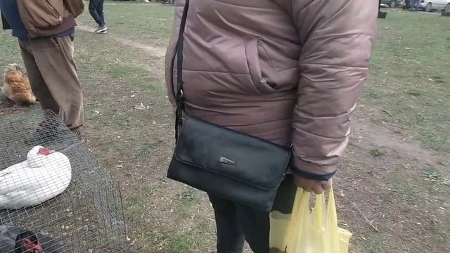 Побували на ярмарку птахів/Недільна вечеря на свіжому повітрі#влог#село#українською#одесскаяобласть
