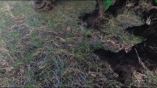 По просьбе снял обзор глубокорыхлителя.