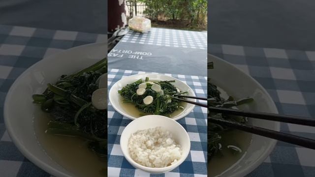 Смех с питомцами - Эпизод 14