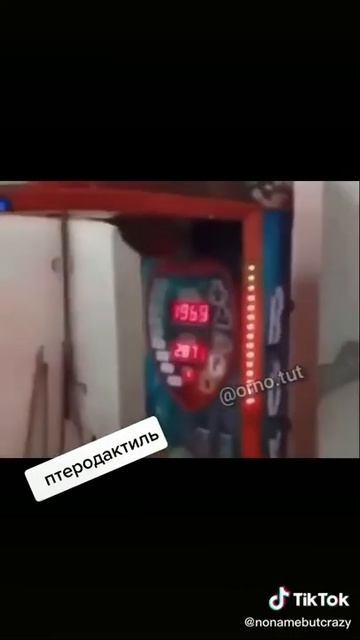 Птеродактиль