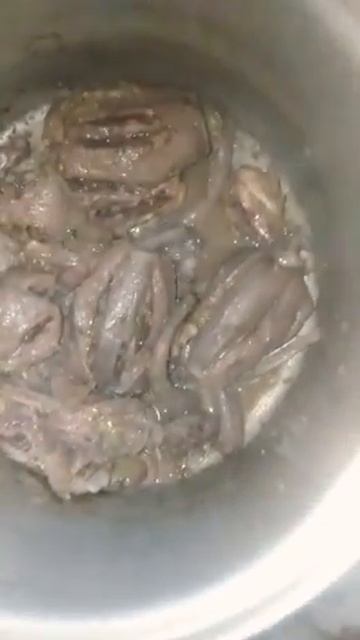 Mallard ،،namkeen teyar ha g 
mallard duck namkeen ban giaa ha mallard duck cooking maethod