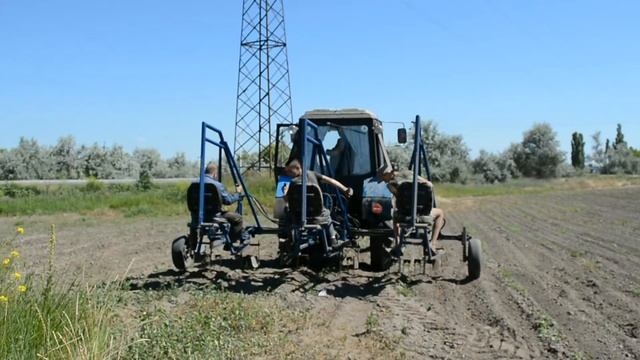 Робота пристрою для механізованої просапки баштанних культур та саджанців