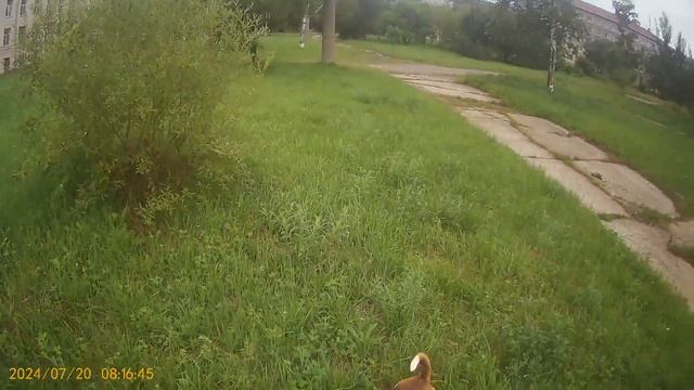 2024 07 20 Нави 230м интенсив выдержка следа 40 минут значимый статист