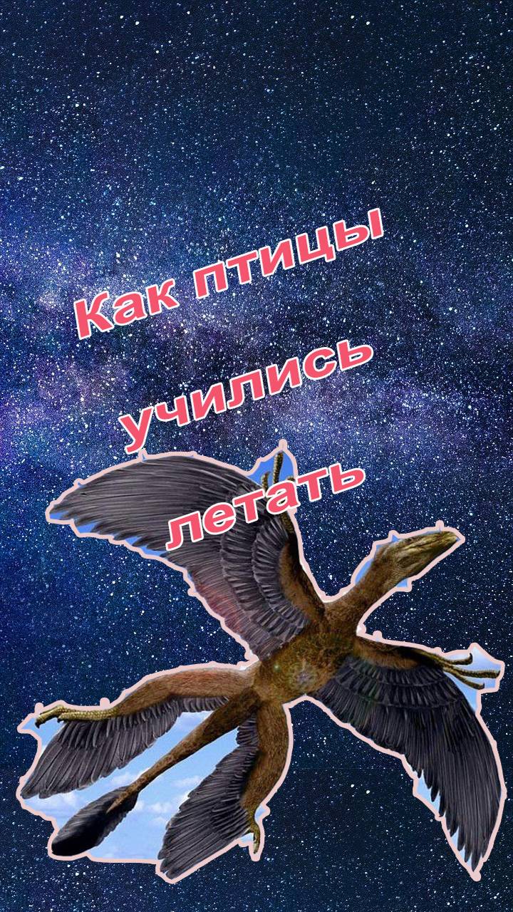Как птицы учились летать: четыре гипотезы о том как появился машущий полет