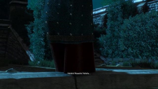 The Witcher 3 Wild Hunt Walkthrough - Now or Never
