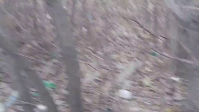 нижний тагил мусарка возле клиники