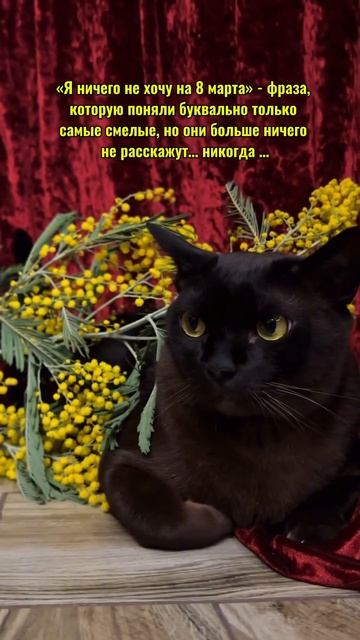 С праздником, девчули!🌷