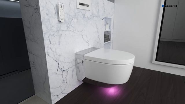 Geberit AquaClean Mera Comfort Service – Maintenance