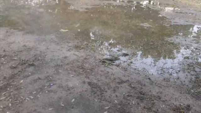 Park mai Kar dala blast