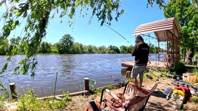 НА зелене ОЗЕРО ! карасі під вербою на ківки СВІНГЕРРИ