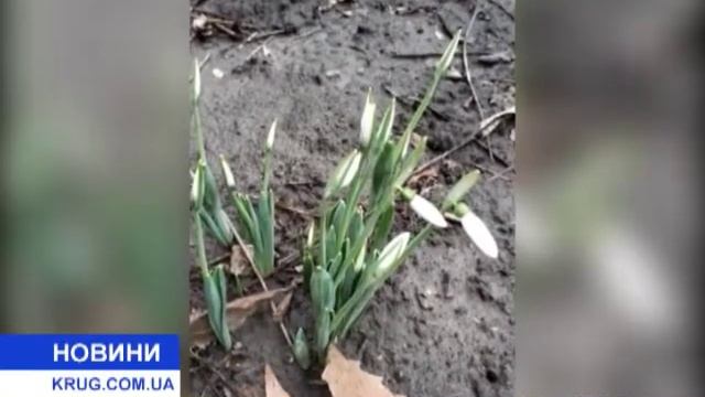 Весна в феврале