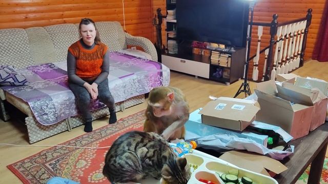 Маруся рассматривает посылку
