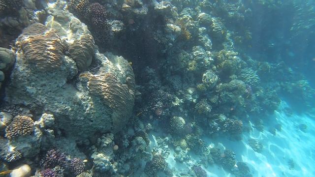 Красное море