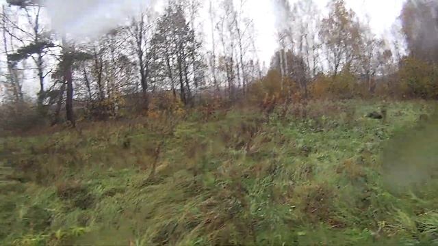Охота на вальдшнепа 15.10. 23 Melba de la Plaine Marat 2 работа