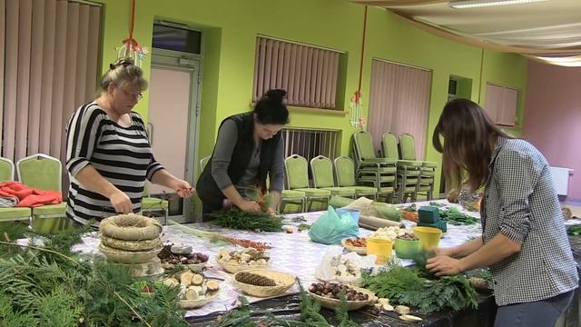 JESIENNE STROIKI W SUCHEJ GÓRNEJ
