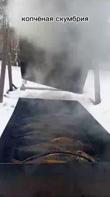 скумбрия #копчёная рыба