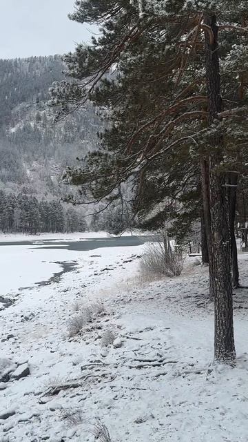 Горный Алтай 8 марта 2025г.
С праздником!💐