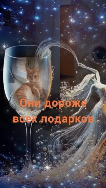 1000012661.mp4
