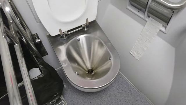 Толкан здорового человека, электропоезд ЭС2Г ласточка