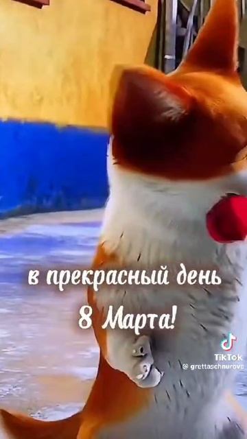 8 марта