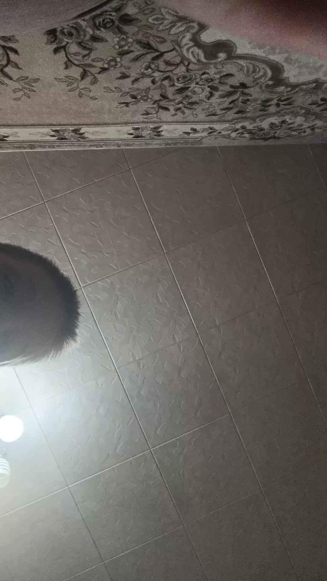 играю в стенд