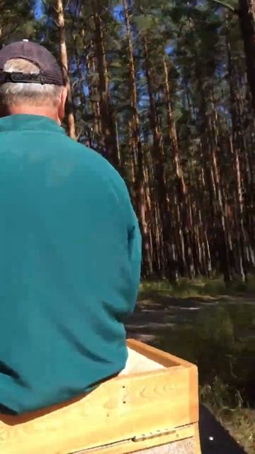 Конная прогулка в парке Нелжа под Воронежем #воронеж #shorts #нелжа