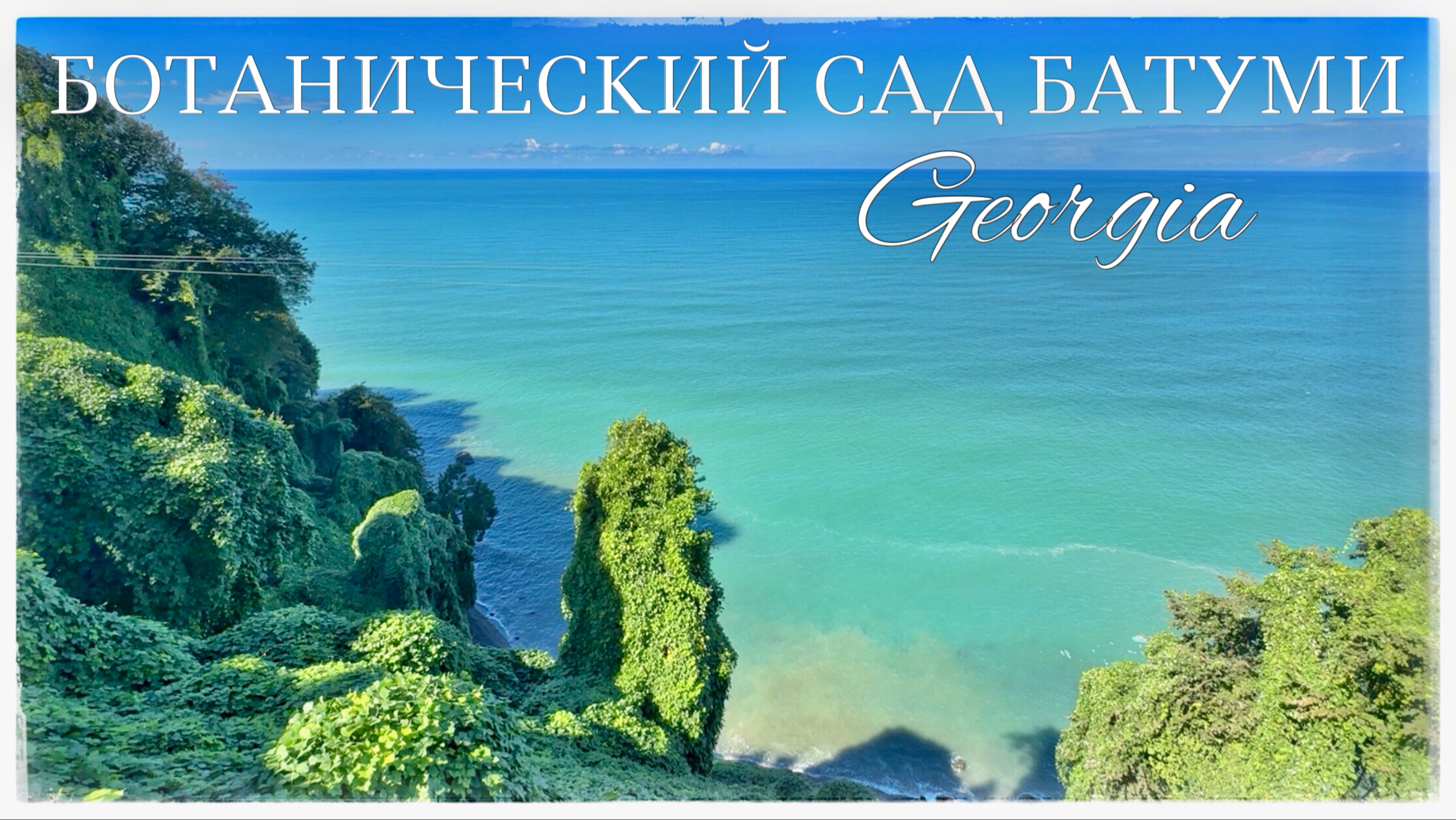 Ботанический сад Батуми. Грузия (Batumi Botanical Garden. Georgia)