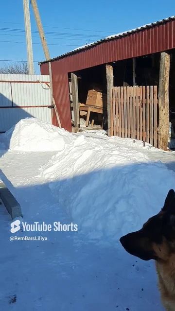 Самая лучшая