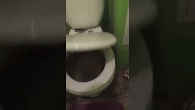 Шок! Пришли домой а там...Video  by videoshow