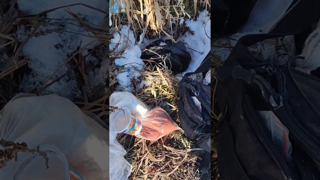 ловил карасей и поймал водяную крысу (полëвка)