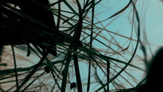 External — Два Голубя (Teaser)