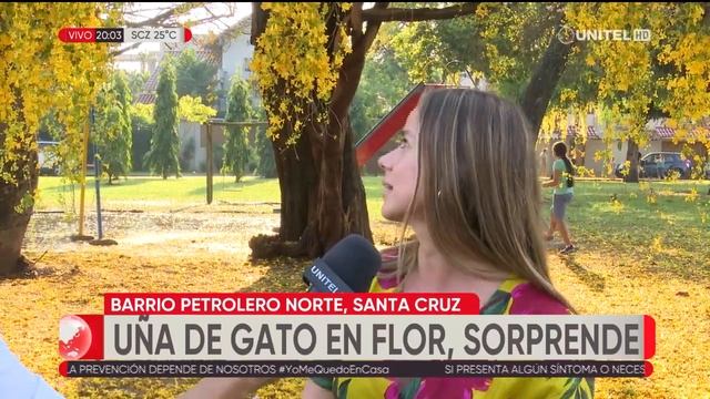 Florece planta Uña de Gato en Santa Cruz luego de al menos 5 años