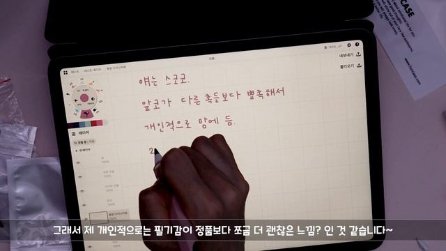 🍎애플펜슬 펜촉비교 / 🍏어떤 펜촉이 제일 좋을까? / 🍇다 비슷해 보이는데 무엇이 다른거뉘 / 👜내돈내산