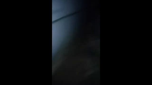 Шок. Неизвестное существо заснято на камеру телефона!
