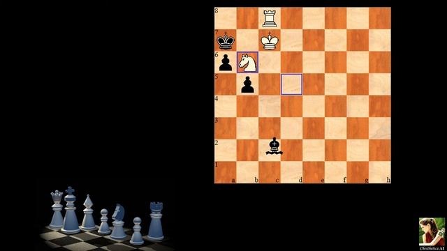 Computer-Generated Chess Problem 03173