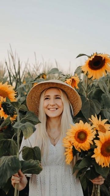 Sunflower.
