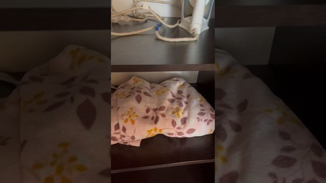 1000003456.mp4
