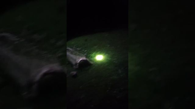 Кочкор ночная рыбалка 2 кг