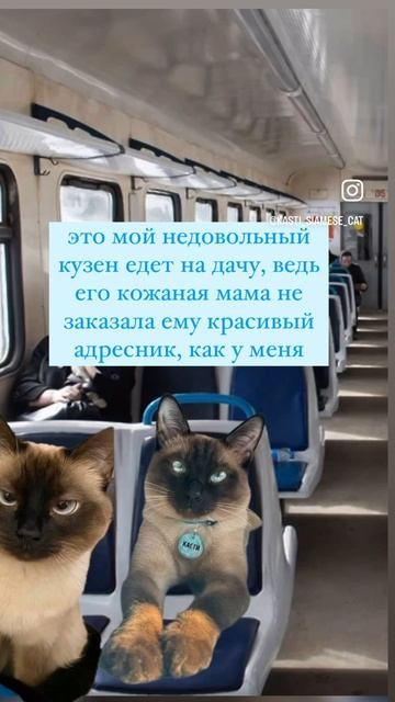 Не забывайте скоро лето и малыши могут потеряться
