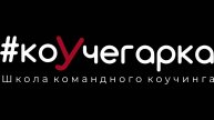 Коучинг семейных бизнесов. Паулина Ноходоева
