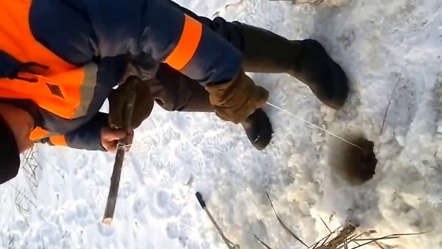 Большая Щука зимой на капканы и жерлицы Зимняя рыбалка Big Pike Hecht
