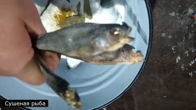 Как засолить и завялить любую рыбу. Вкуснейший посол